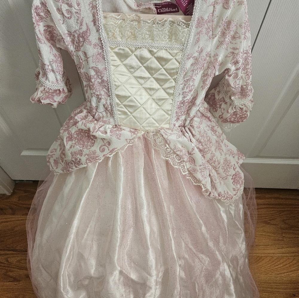 Marie Antoinette Queen Princess Deluxe Girls Kids Boutique Gown Costume